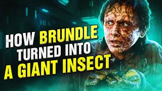 What the Fly did to Brundle's body