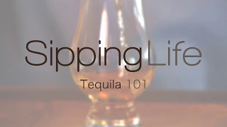 Tequila 101 - The Basics of Tequila