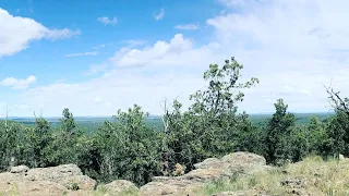 Arizona Trail Redemption Hike Passage 28 Happy Jack to Passage 27 Blue Ridge - Day 8