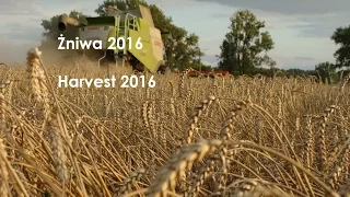 Trudne Żniwa 2016/Harvest in Poland/ CLAAS Engine Sound