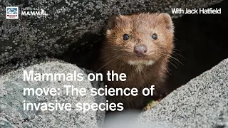 Mammals on the move: The science of invasive species