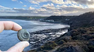 Fossil Hunting and Exploring the Jurassic Coast | The Fish Locker