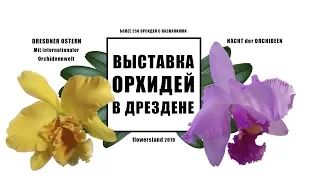 Международная выставка орхидей в Дрездене 2019 год