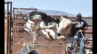 MT Bucking Bulls and Wortman Bucking Bulls Practice 4 24 22