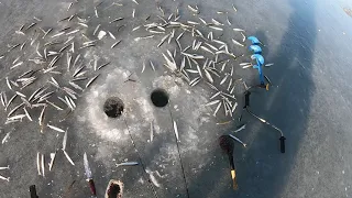 Зимняя рыбалка -ловля корюшки на махалки - Владивосток