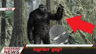 TRYING TO INTERVIEW BIGFOOT