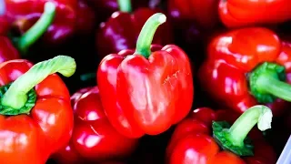 Bell Peppers: 12 Amazing Health Benefits For Your Health | Health And Nutrition