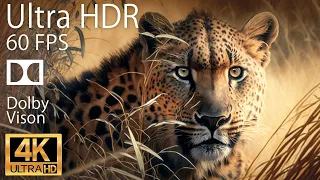 4K HDR 120fps Dolby Vision with Animal Sounds (Colorfully Dynamic) #60