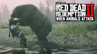 When Animals Attack #5 (Red Dead Redemption 2 Brutal Moments)