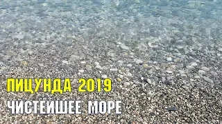 ПИЦУНДА - ЗДЕСЬ САМОЕ ЧИСТОЕ МОРЕ | ЧЕРНОМОРСКОЕ ПОБЕРЕЖЬЕ