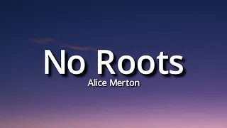 Alice Merton - No Roots (Lyrics) (Tiktok Song) | A thousand times