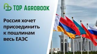 Россия хочет распространить зерновые пошлины на все страны ЕАЭС. TOP Agrobook: обзор агроновостей