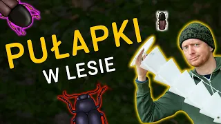 Leśne pułapki na owady - Jak działają i kto/co się łapie? 🌲 -  Napisy  🇵🇱  o Lesie #49