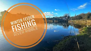 Winter Feeder Fishing On The River Ribble
