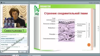 САД Рекомендации по применению флуревитов 18 Ответы Севостьяновой Т  на вопросы