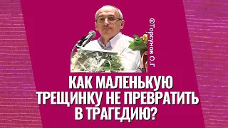 Как маленькую трещинку не превратить в трагедию? Торсунов лекции