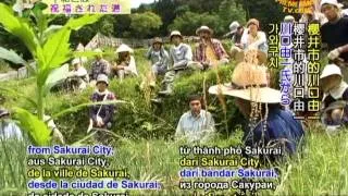 Yoshikazu Kawaguchi's Natural Farming Method (1/2)