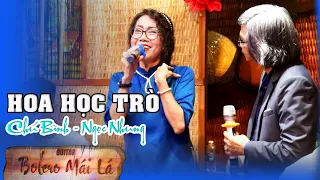 Hoa Học Trò - Cô Ngọc Nhung e ấp bên chú Bình ấm áp | Bolero Mái Lá - Đêm Nhạc Thứ 7