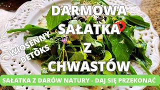 Darmowa sałatka z „chwastów”. Wiosenny detoks. Daj się przekonać. Korzystaj z darów natury.