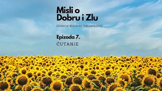 Misli o Dobru i zlu - Ep. 007 - Episkop Nikolaj Velimirovic #short