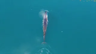 Sea Kayak Greenland - Uummannaq 2023