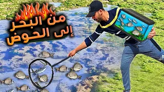 وأخيرا حققت حلمي؟؟ تجربة صنع حوض الأسماك البحرية !! هل سينجح ام لا