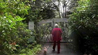 A Day in the Gardens – Mendocino Coast Films