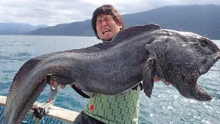 The Biggest Fish Ever Caught Will Terrify You