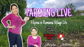 Village LIFE- FILIPINA IN ROMANIA