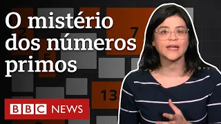 O enigma dos números primos, cuja solução ameaçaria a internet