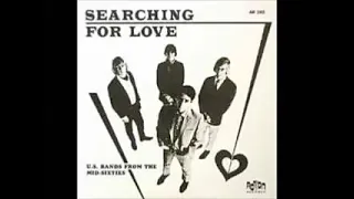 Various ‎– Searching For Love : U.S. Bands From The Mid-Sixties, Garage Rock Psychedelic 60's ALBUM