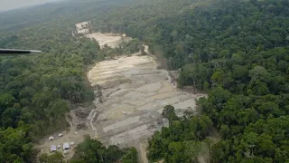 Amazon deforestation: NGOs in the line of fire