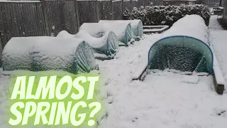 Crazy Pre Spring Weather [Gardening Allotment UK] [Grow Vegetables At Home ]
