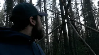 The CREEPIEST Woods in North America | MBM 251