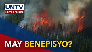 ALAMIN: Ano ang benepisyo ng wildfire sa kalikasan?