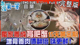 [全新] 宜蘭【獨家養成「育肥蟹」15天黃金期"增膏養肉"價翻倍！肥厚脂肪肝 顛覆味蕾/另類水族樂園"鯊"親密餵食秀，野外採"西施舌"深藏不露 粒粒皆辛苦】│2023.11.26│《台灣第一等》完整版