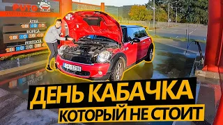 День кабачка