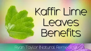 Kaffir Lime Leaves: Benefits & Uses