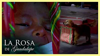 Rocky salva a una bebé que encontró en una bolsa de mandado | La rosa de Guadalupe 3/4 | Amor...