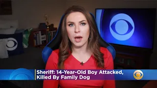 Sheriff: 14-Year-Old Boy Attacked, Killed By Family Dog