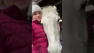 Sleepy Pony Cuddles | This Esme