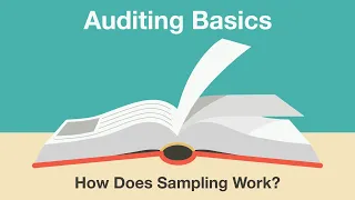 Auditing Basics  How Does Sampling Work