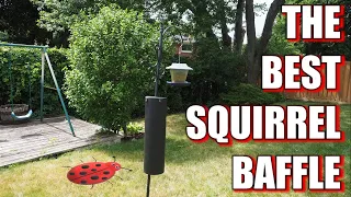New + Improved Squirrel Baffle 2020!!! ONLY $10