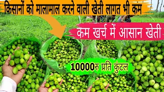 इस औषधीय सब्जी की खेती करें लाखों की कमाई करें Highest saving vegetable farming! Spine gourd,ककोड़े