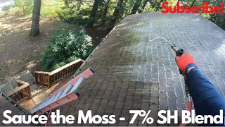 Killing Moss On These Shingles With Bleach