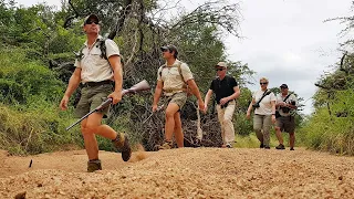 Join Africa Geographic on a Kruger walking safari