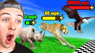 BECKBROS React To FASTEST ANIMALS COMPARISON!