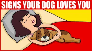 12 Signs Your Dog REALLY Loves You Confirmed By Scientists