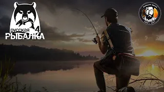 #shorts 🔥Путь рыбака с нуля! 5 Серия! Русская рыбалка 4! Майский СЕЗОН! 🔥 #рыбалка #fishing #fish