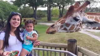 Смешные дети и животные в зоопарке - попробуй не засмеяться.